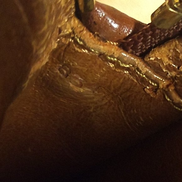 Louis Vuitton Mini Amazon with Detachable Strap - Picture 15 of 16